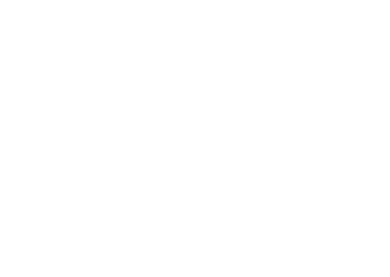 CyberCorp Demo